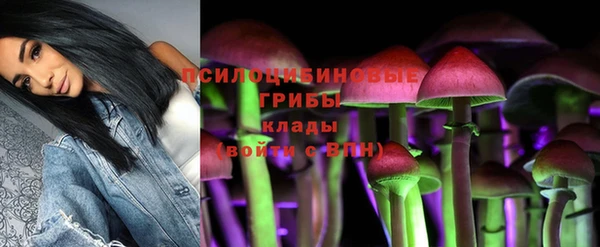 ECSTASY Белокуриха