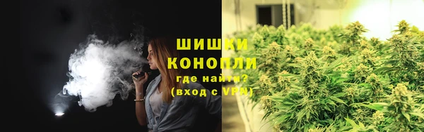 ECSTASY Белокуриха
