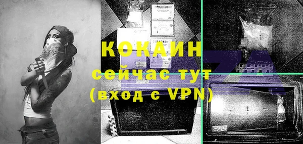 ECSTASY Белокуриха