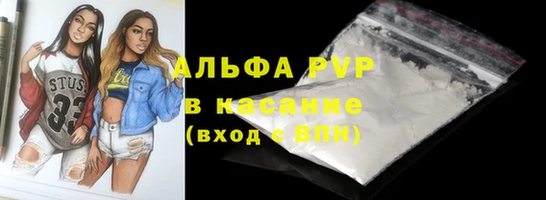 ECSTASY Белокуриха