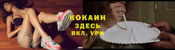 ECSTASY Белокуриха