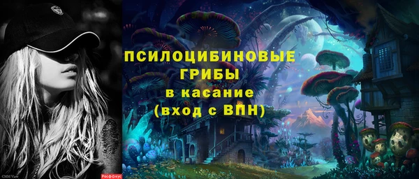 ECSTASY Белокуриха