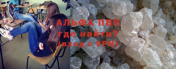 ECSTASY Белокуриха