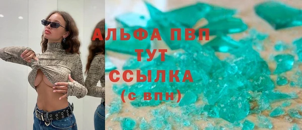 эйфоретик Беломорск