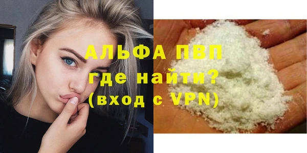 ECSTASY Белокуриха